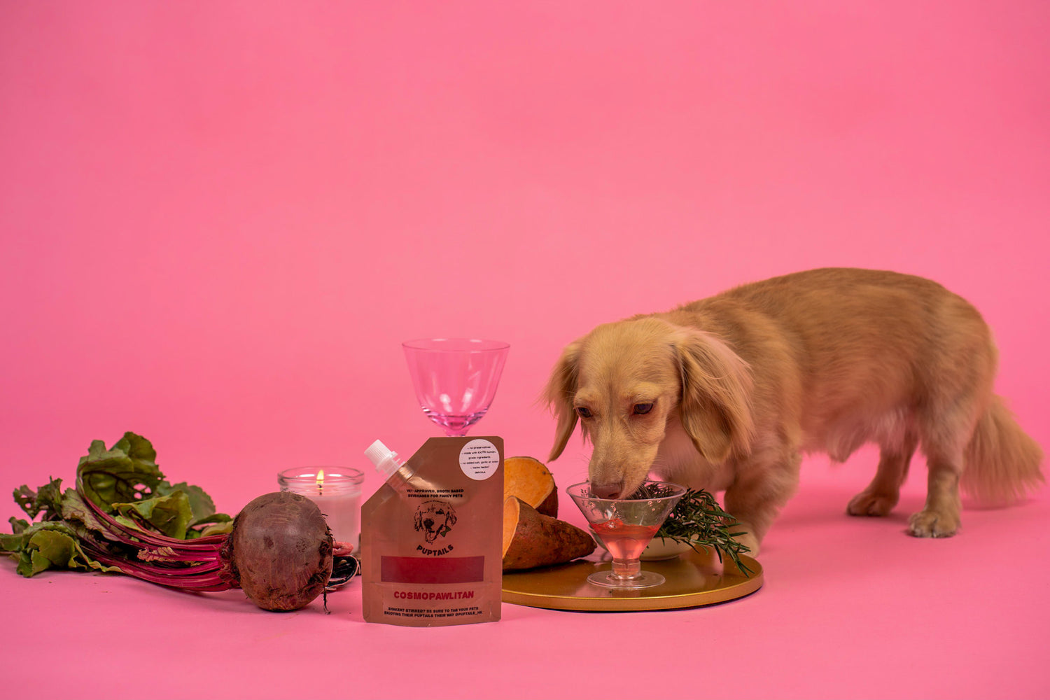 dog drinking luxe cocktail 
